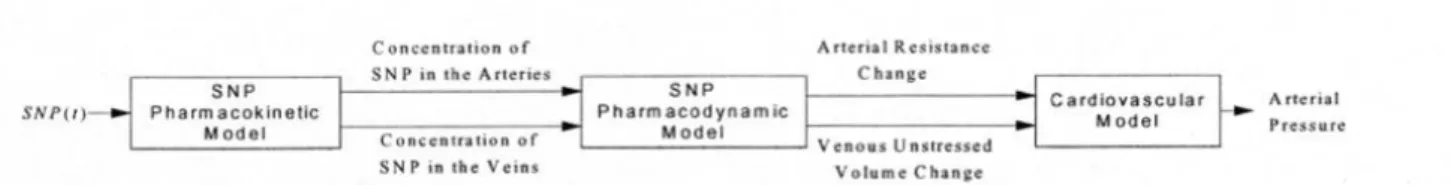 Figura 1 – Modelo simplificado aplicado ao Nitroprussiato de Sódio. (20)