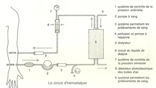 Figura 1 O circuto de hémodiálise 