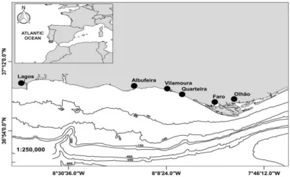 Figure  2.1  The  different  sampling  areas  in  the  Algarve  region,  southern  Portugal  representing  by  the  localities of Lagos, Vilamoura-Quarteira, Faro and Olhão (image by Pedro Monteiro)