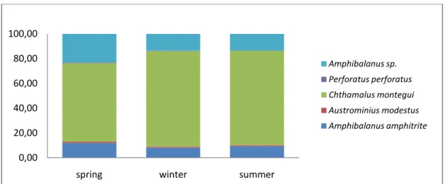 Fig. 3.1 The average percentage of seasonal abundance for barnacle species found in the sampled grids