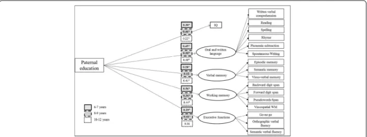 Fig. 3 Structural model (Paternal education as a predictor) for six/seven, eight/nine and ten/eleven/twelve years old