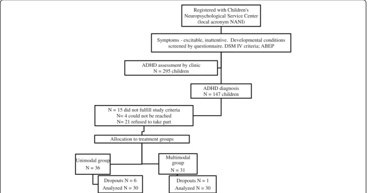 Fig. 1 Flowchart. Note: 41 children were directed to other intervention studies (other types) at the center during this period