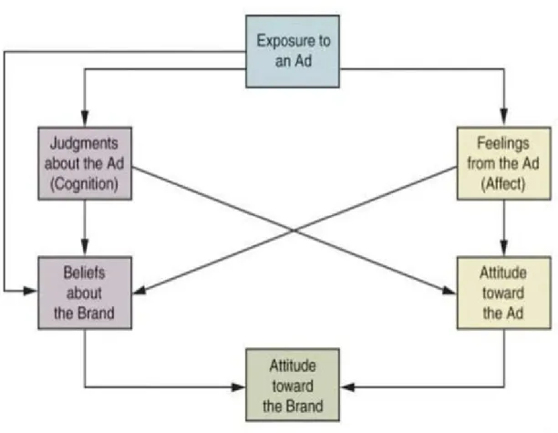 Figure  5. Scheme of Main Correlates Determining Attitude within Advertising Exposure