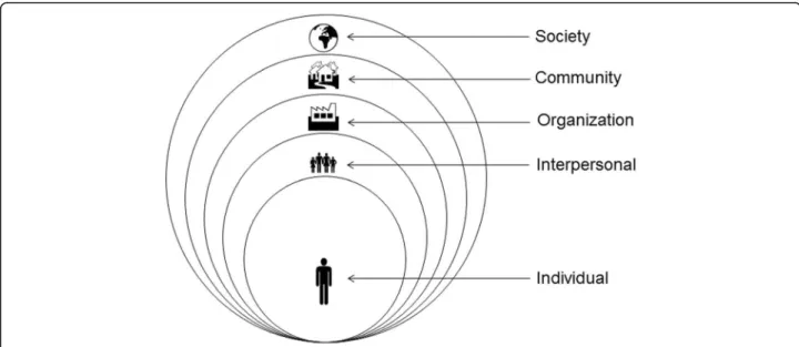 Fig. 1 The Social Ecological Approach
