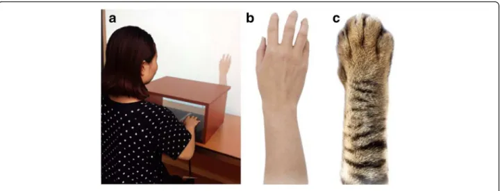Fig. 1 Experiment and virtual images. a experimental facilities. b human hand. c cat's claw