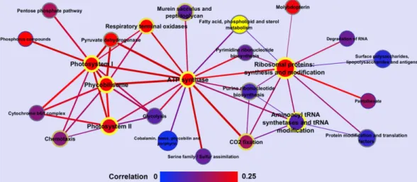 Figure 6.  Network of molecular processes based on co-expression. Nodes represent molecular processes,  while edges represent the calculated average Spearman correlation between the associated genes