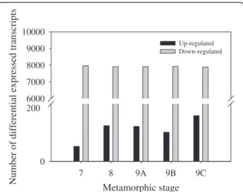 Fig. 3 Differentially expressed transcripts between Atlantic halibut metamorphic stages and juveniles