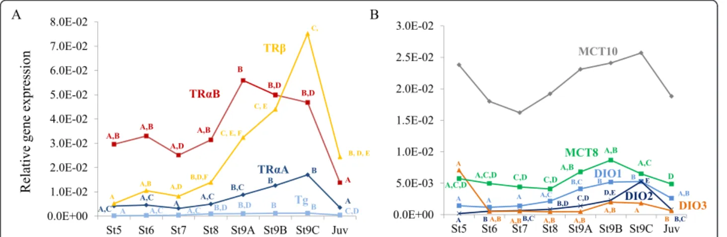 Fig. 5 Expression pattern of transcripts involved in the TH cascade during halibut metamorphosis