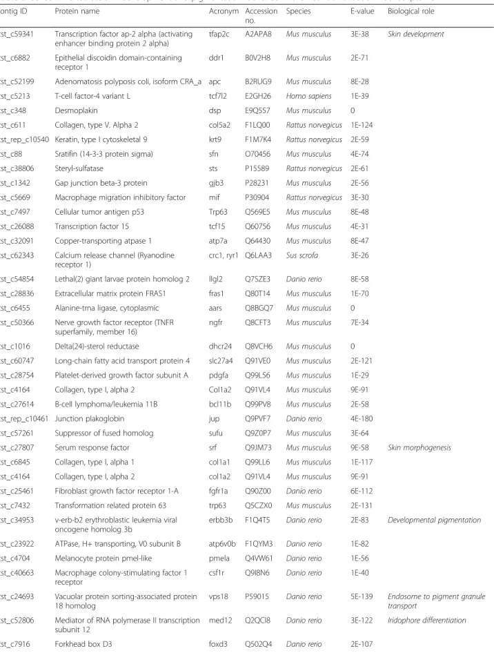 Table 2 Genes in vertebrate skin development and pigmentation identified in the Atlantic halibut skin transcriptome