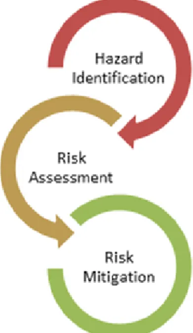 Figure 2.1 Risk Management Flowchart 