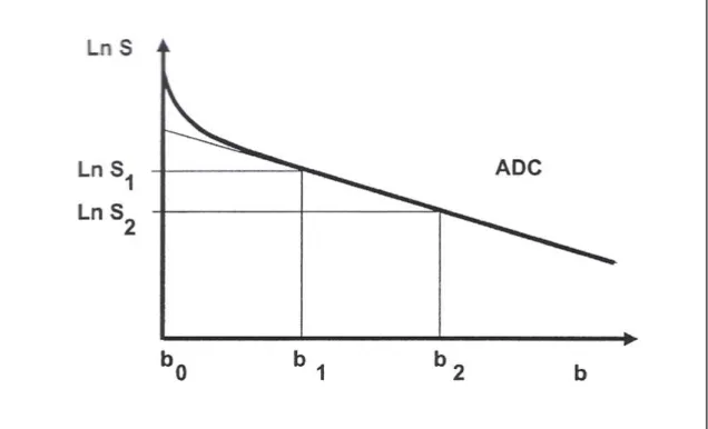 Figura 10:  gráfico ln S em função de b 