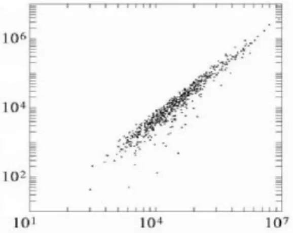 Figure 1 Bivariate distribution of Total Assets (X-axis) and Net Worth (Y-scale). 