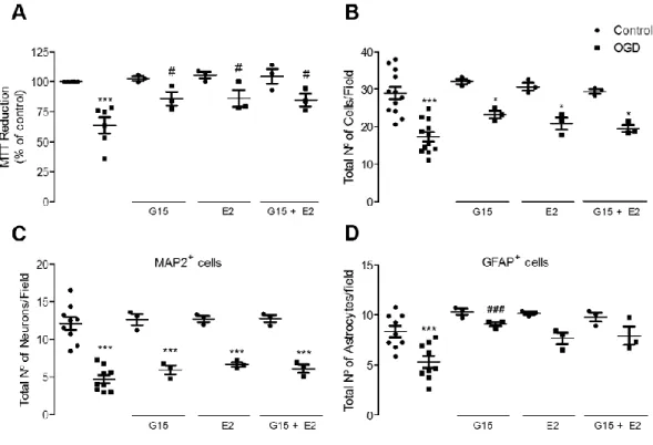 Figure 6: Effect of GPER inhibition on the viability of primary neuron-glia cortical cultures exposed to 4 hours of  OGD