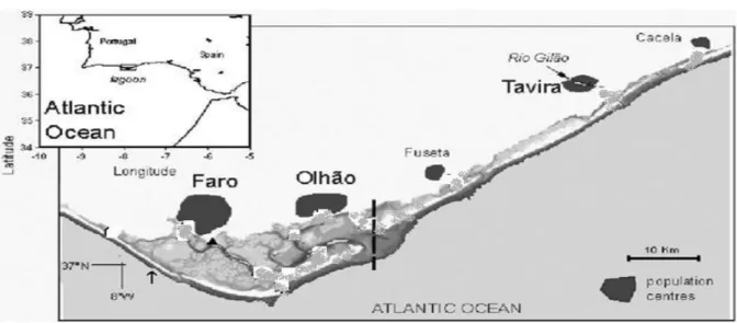Figure 3-1: The Ria Formosa Lagoon (Adapted from Newton et al., 2003). 
