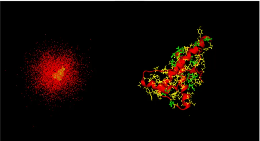 Figure 1. Left figure: Three dimensional display of the prion- prion-water system; the prion-water molecules are in red and the protein is in yellow