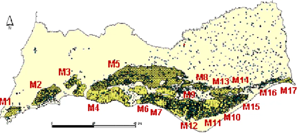 Figure 2:  Location of dug wells and boreholes and geometry of the 17 aquifer  systems with regional expression in the Algarve