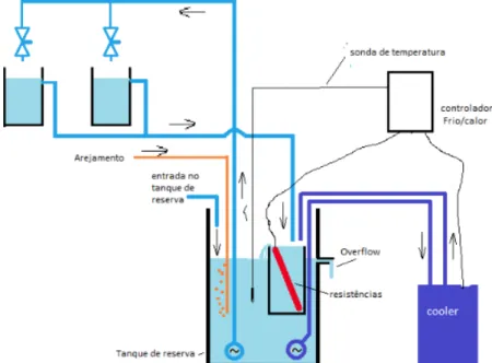 Figure  2.2.  Experimental  design  showing  the  aquarium  set  used  to  carry  out  the  thermotolerance  experiments performed in this study