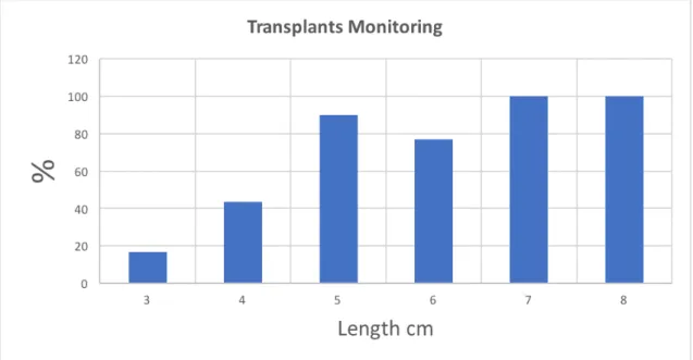 Figure  3.2.  Mean  relative  success  of  transplantation  by  fragment  length  (cm)  of  temperate  gorgonians  (species) after 11 weeks of transplantation