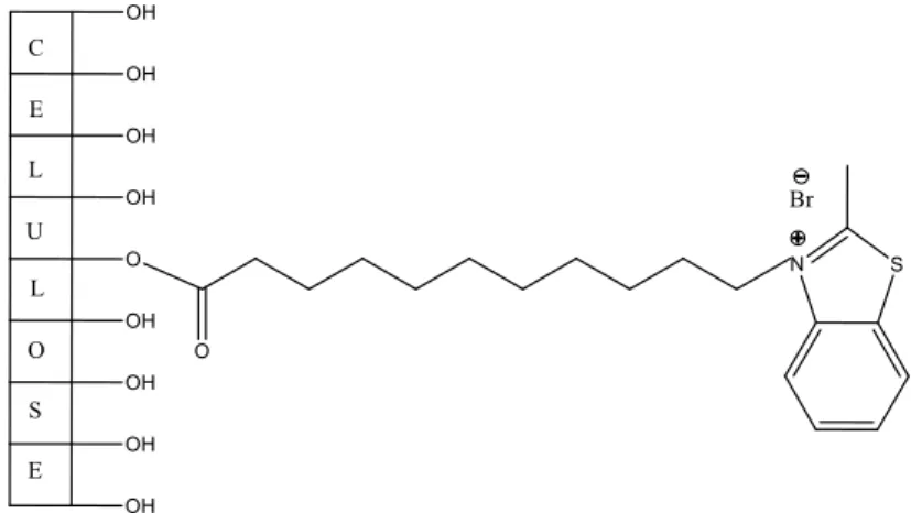 Figura 14. Sal de 2-metilbenzotiazole 3 imobilizado numa matriz de celulose em esferas