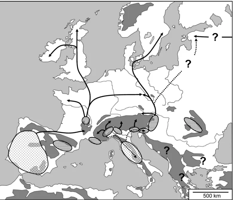 Fig 6. Hypothetical last glacial distribution patterns and postglacial expansion routes of Euphydryas aurinia in Europe
