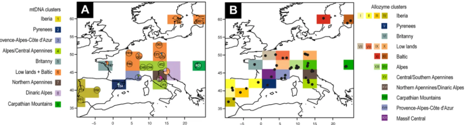Fig 4. Spatial Bayesian clustering of Euphydryas aurinia . A. Mitochondrial DNA sequences, circles represent both locations and haplotypes found