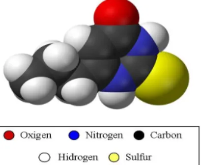 Fig 1.8: 3D Molecular structure of the thyroid disruptor PTU. Taken from [7]. 