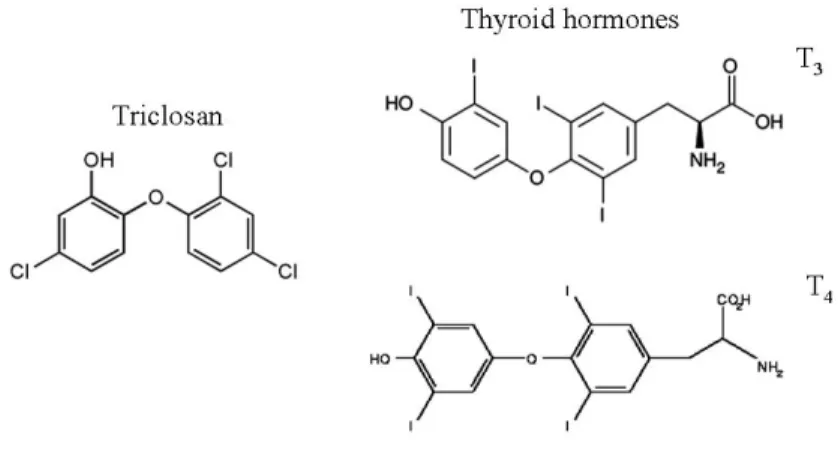 Fig 1. 10: Chemical structures of the THs (T3 and T4) and of the goitrogen TCS. Taken from [7]