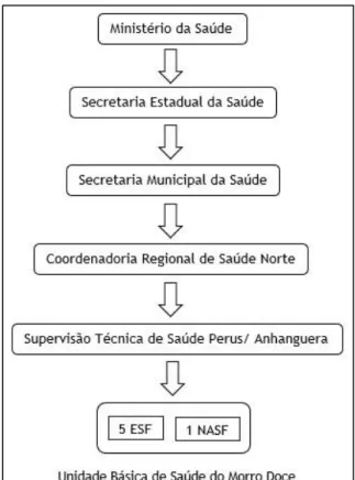 Figura 3 - Organograma da Unidade Básica de Saúde do Morro Doce 