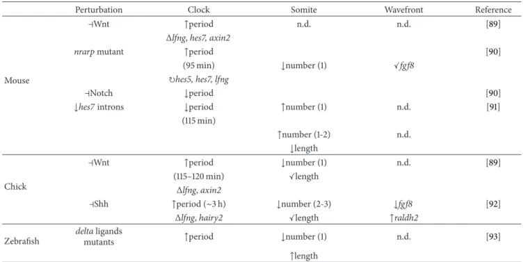 Table 3: Perturbations of the somitogenesis molecular clock achieved in mouse, chick, or zebrafish embryos