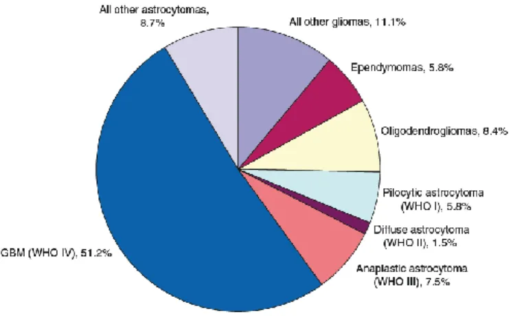 Figura 1 - Distribuição dos gliomas primários do SNC no Homem (adaptado de CBTRUS 2018)