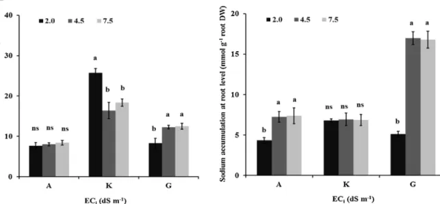 Fig. 2. Effect of EC i (2.0, 4.5 and 7.5 dS m −1 ) on chloride (A) and sodium (B) accumulation in roots (Cl − and Na + extraction per plant in mmol/root DW in g) of A