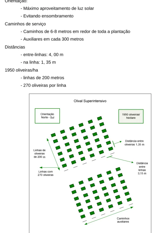 Fig. 3 - Esquema de um olival superintensivo (Adaptado de Innoliva)