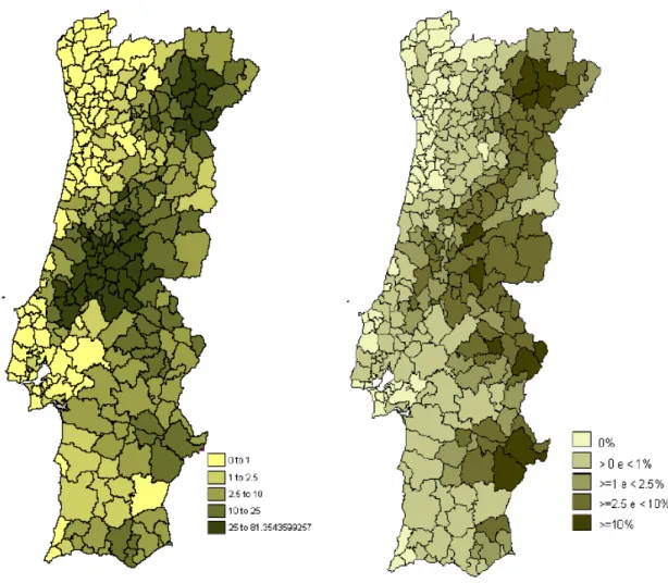 Fig. 6. – Representatividade da área de olival na SAU e peso da MBS do olival no total da MBS das  explorações agrícolas (Fonte: GPP, 2007 c)