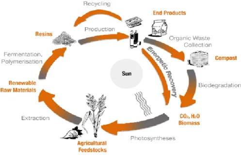 Figure 1- Bio-based to biodegradable plastics life cycle (copyright: EBA, 2009). 