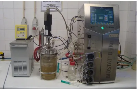 Figure 3- Batch reactor (BioStat® B-Plus, Sartorius) 
