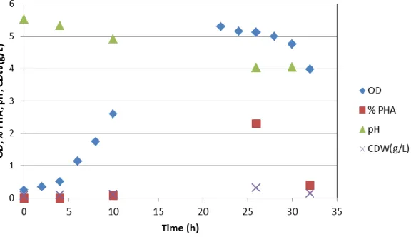 Figure 8- Growth of MD-107 on Medium A2 in 100ml-scale cultivation. 