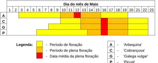 Figura 9 - Época média de floração em Elvas para os 9 anos de observações (1998-2002, 2005- 2005-2007 e 2010) e as variedades em estudo