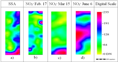Figure 3. Ordinary kriging raster images rescaled to digital number (DN) range for the  production factors Soil Specific Area (SSA) and Nitrate