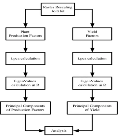 Figure 1. Flowchart describing the PCA calculation methodology using the raster maps  produced from geostatistics