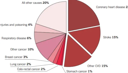 Figure 2.2: Deaths by cause, women, latest available year, Europe, according to the 2012 Edition of the European Cardiovascular Disease Statistics [Eur12].