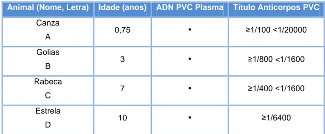 Tabela 8 (continuação) - Título de anticorpos para o PVC nos canídeos doentes na primeira  e na terceira sessão de quimioterapia