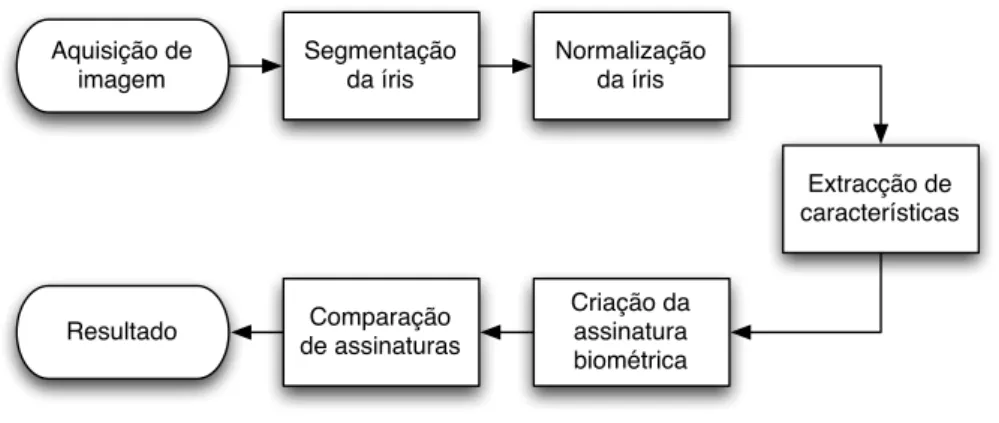 Figura 1.5: Ilustração de um típico sistema de reconhecimento de íris.