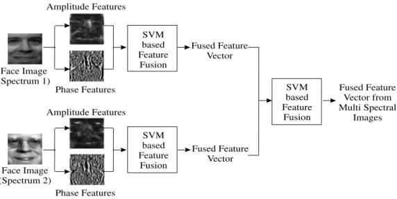 Fig. 3. Feature fusion from multi-spectral face images.