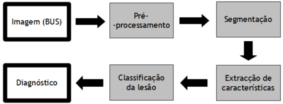 Figura 2.1: Organização do processo de diagnóstico assistido por computador.