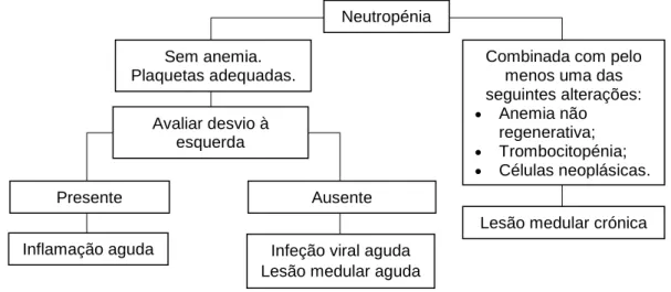 Figura 3: Diagrama de fluxo referente à abordagem ao diagnóstico da causa da neutropénia