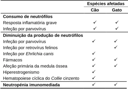 Tabela 2: Principais diagnósticos diferenciais de neutropénia. Adaptado de Tvedten &amp; Raskin,  2012