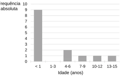 Gráfico 1: Distribuição da idade dos canídeos da amostra. 