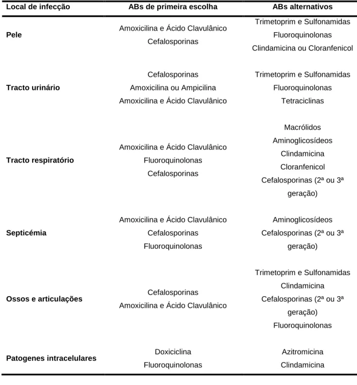 Tabela  1  –  ABs  indicados  para  a  terapêutica  de  infecções  na  CAC  (adaptado  de  Papich,  2010) 
