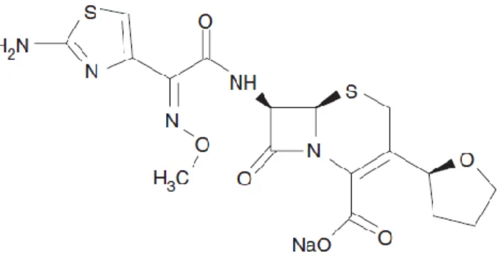 Fig. 8 – Fórmula estrutural da cefovecina (Stegemann, Sherington &amp; Blanchflower, 2006b) 
