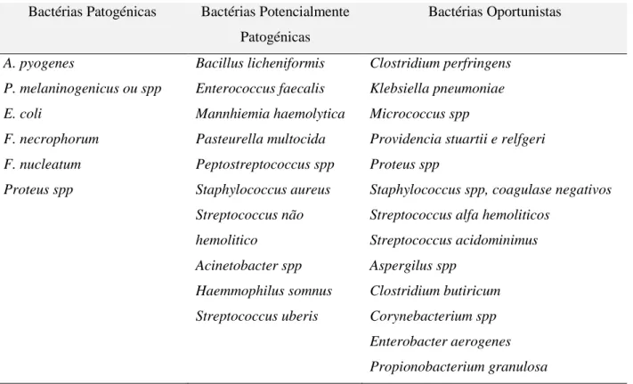 Tabela 4 - Microrganismos identificados em infecções uterinas e o seu poder patogénico 